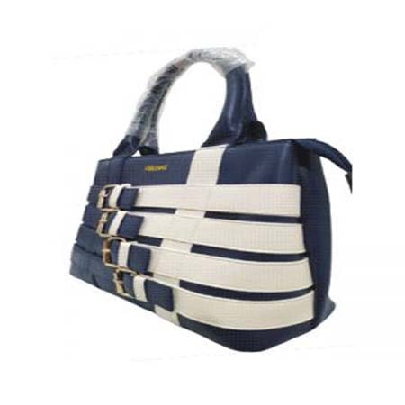 Aikani Blue Purse